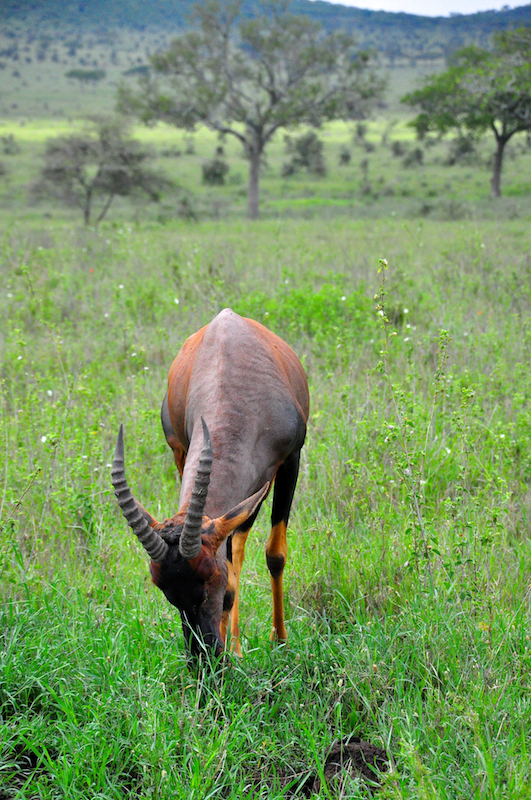 Melanie Heinrich Travel Images Africa